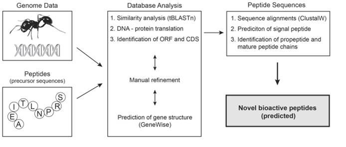 database analysis for insect insulin