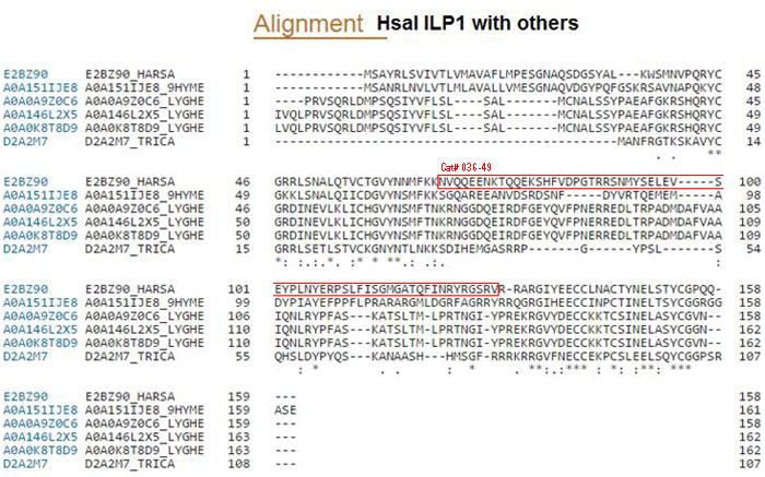 Hsal seqence alignment