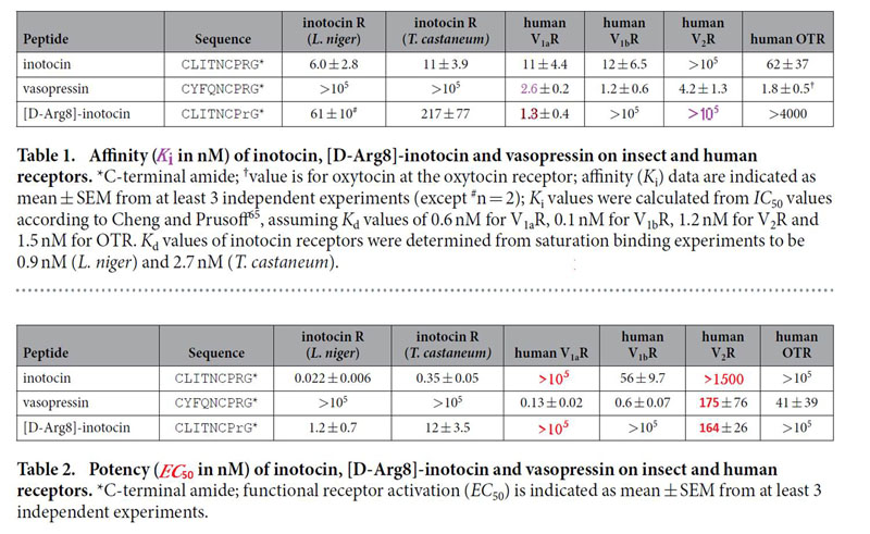 affinity of inotocin on insect and human receptors