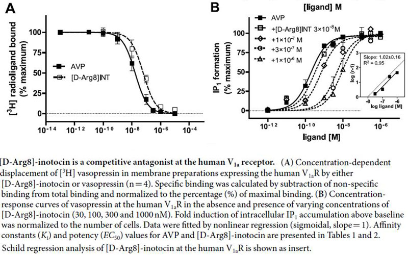 inotocin is a competitive antagonist at the human Va1 receptor