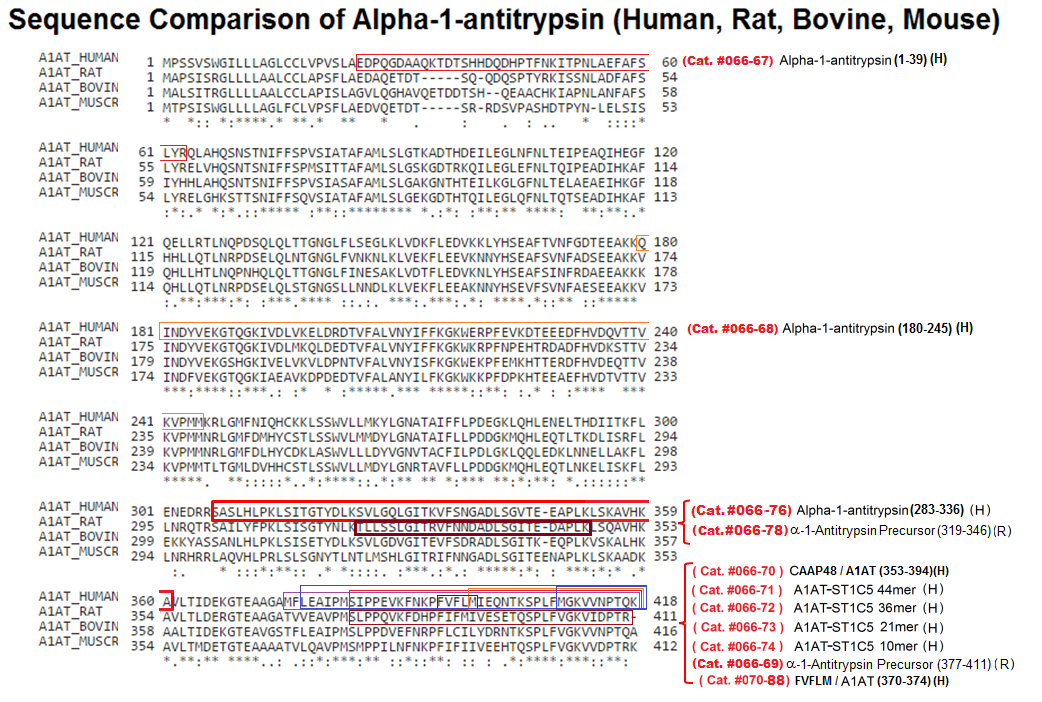 sequence comparison A1AT