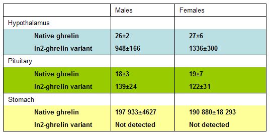 Absolute cDNA copy number/0.05 µg total RNA of ghrelin gene transcripts in the hypothalamus, pituitary, and stomach of male and female C57Bl/6 mice