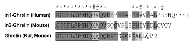 sequence comparison In1, In2 ghrelin