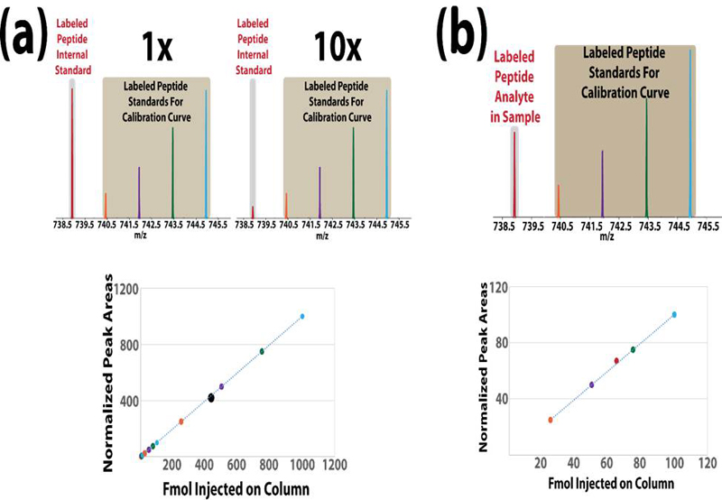 internal standard and one-run quantitation techniques