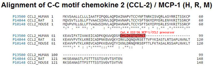 sequence comparison ccl-2, mcp-1