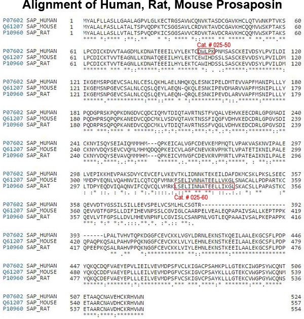 sequence comparison prosaposin