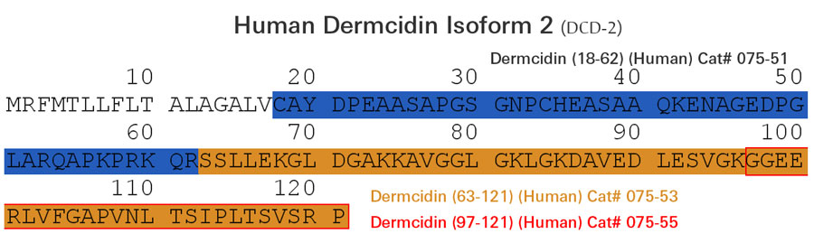 sequence DCD-2