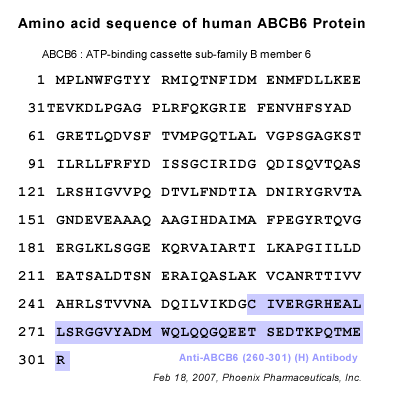 ABCB6 sequence