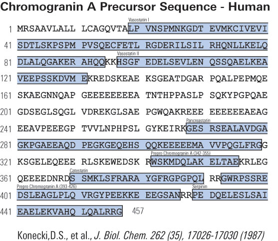 chromogranin a precursor sequence