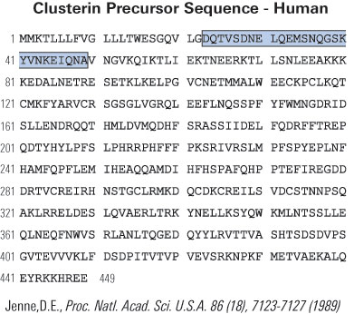 clusterin sequence