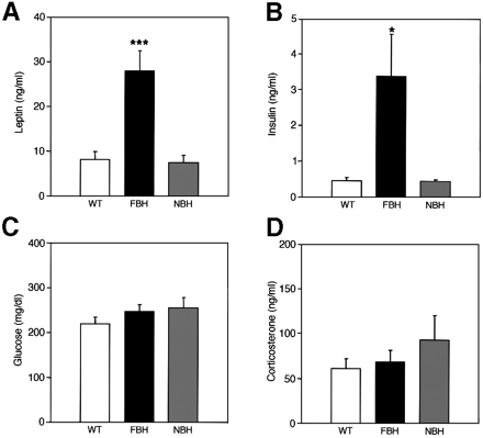 FBH mice are leptin and insulin resistant. 