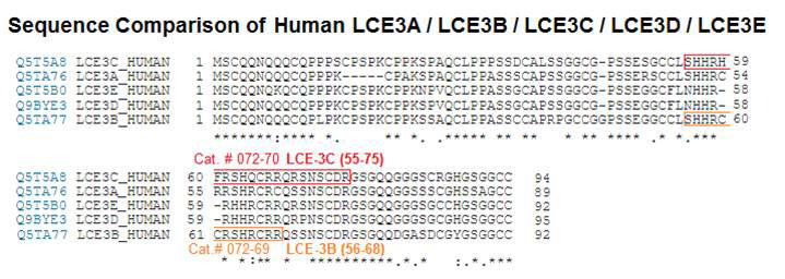 sequence comparison of LCE