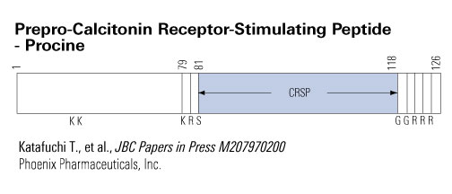 CRSP schematics
