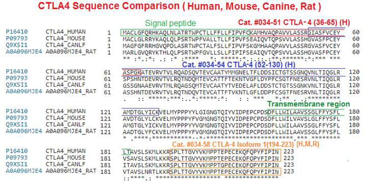 CTLA-4 sequence comparison