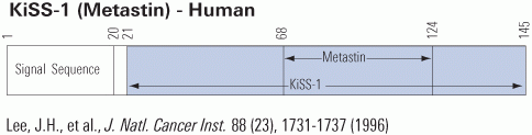 kiss schematics