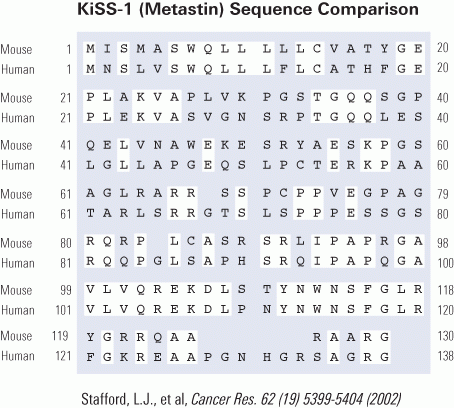 sequence comparison kiss