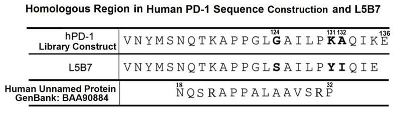 Sequence PD-1, L5B7