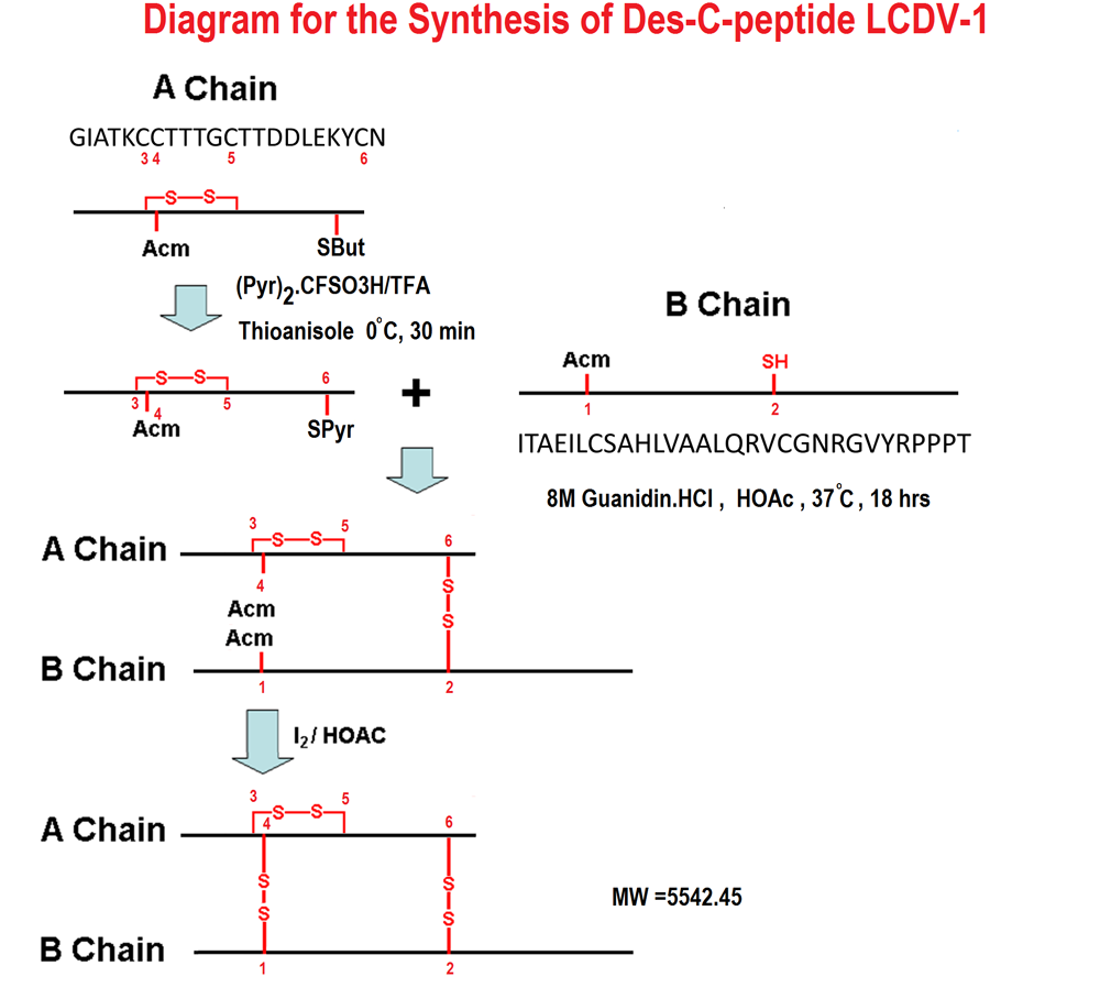 Des C peptide LCDV-1 sequence synthesis