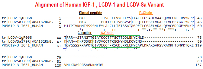 sequence comparison LCDV, IGF-1