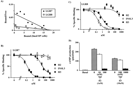 Direct binding of 33P-labeled H2 relaxin to LGR7 and LGR8 and competition by relaxin-related peptides.