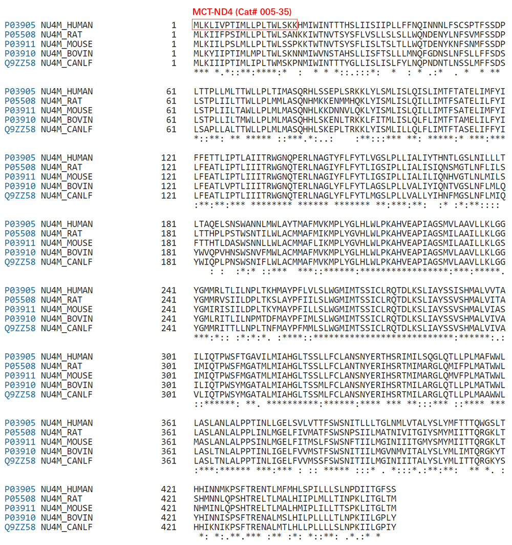 Mitochondrial ND4 sequence comparison