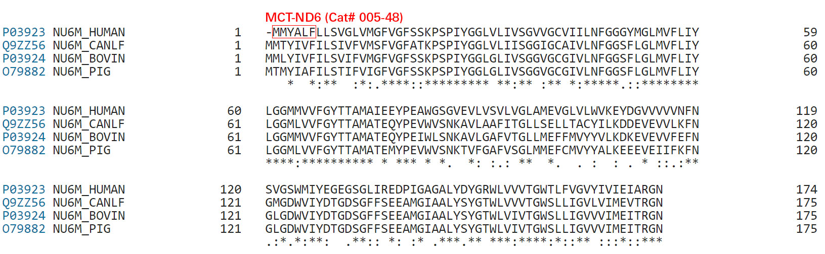 Mitochondrial ND6 sequence comparison