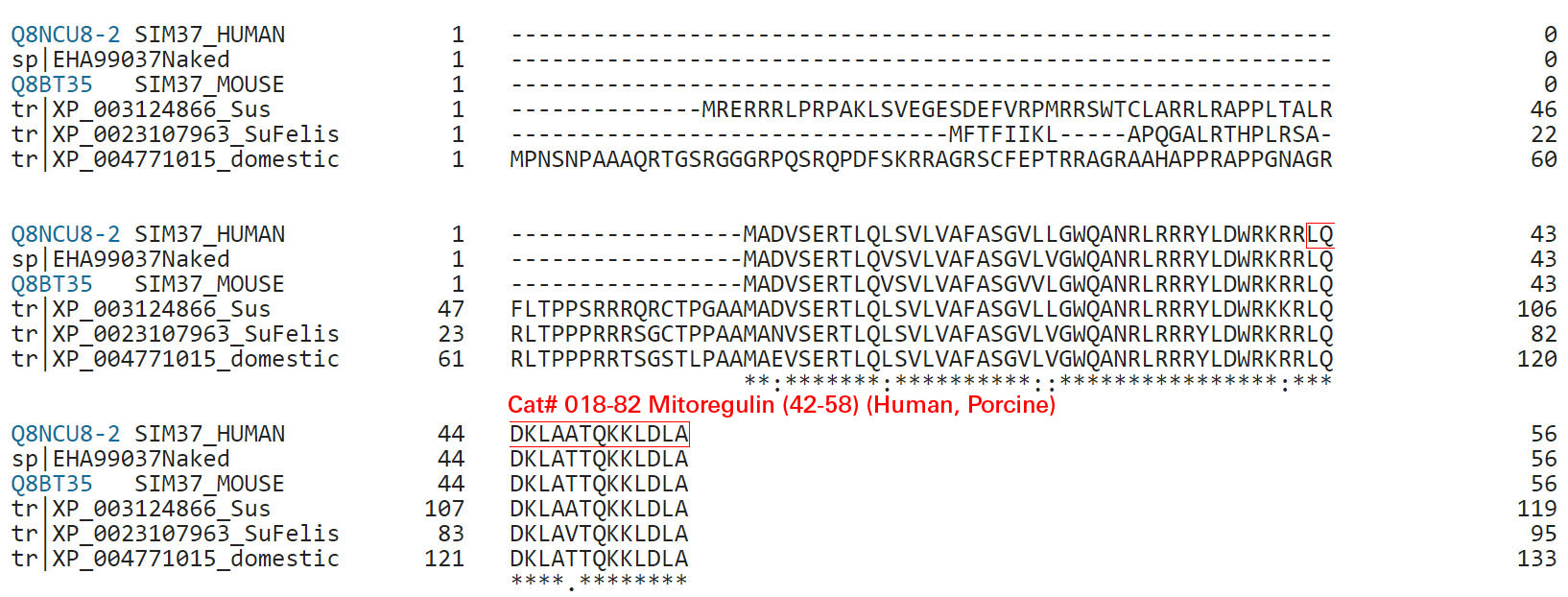 Mitoregulin sequence comparison