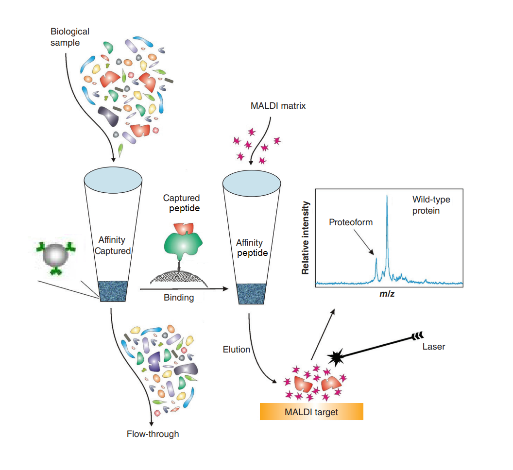 principle of mass spec