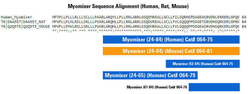 myomixer alignment