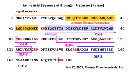 Glucagon precursor sequence