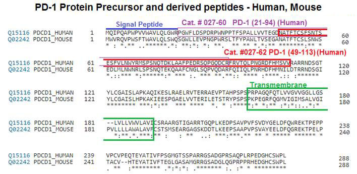 PD-1 protein sequence comparison