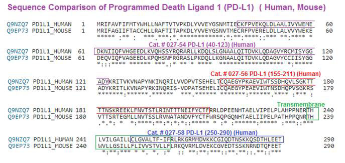 PD-L1 sequence comparison