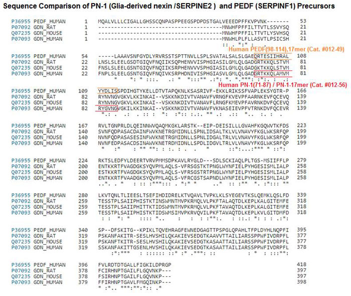 Sequence comparison PN-1