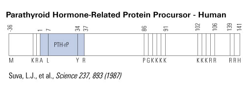 pthrp schematics