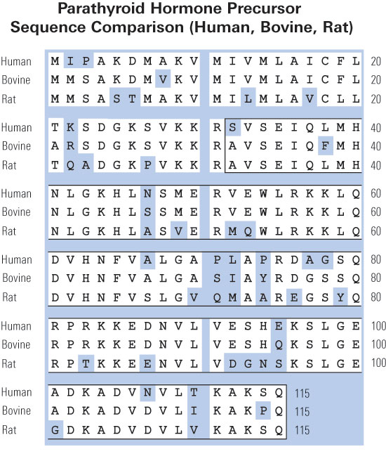 sequence comparison PTH