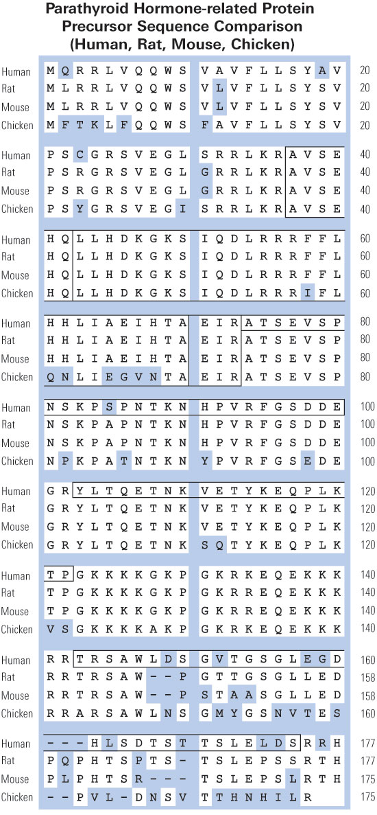 sequence comparison pthrp