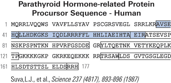 pthrp sequence