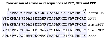 comparison of PYY NPY and PPP