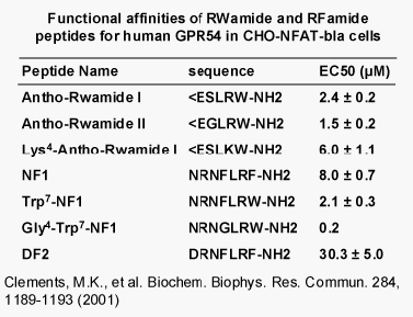 Invertebrate neuropeptides of the RWamide family