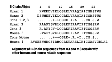 sequence comparison relaxin 3 b chain