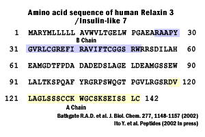 sequence relaxin 3