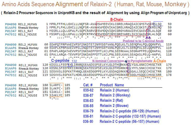 sequence comparison relaxin 2