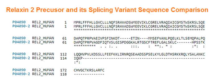 relaxin 2 precusor splicing variant seqence