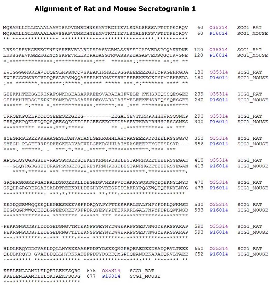 alignment of Secretogranin I rat mouse