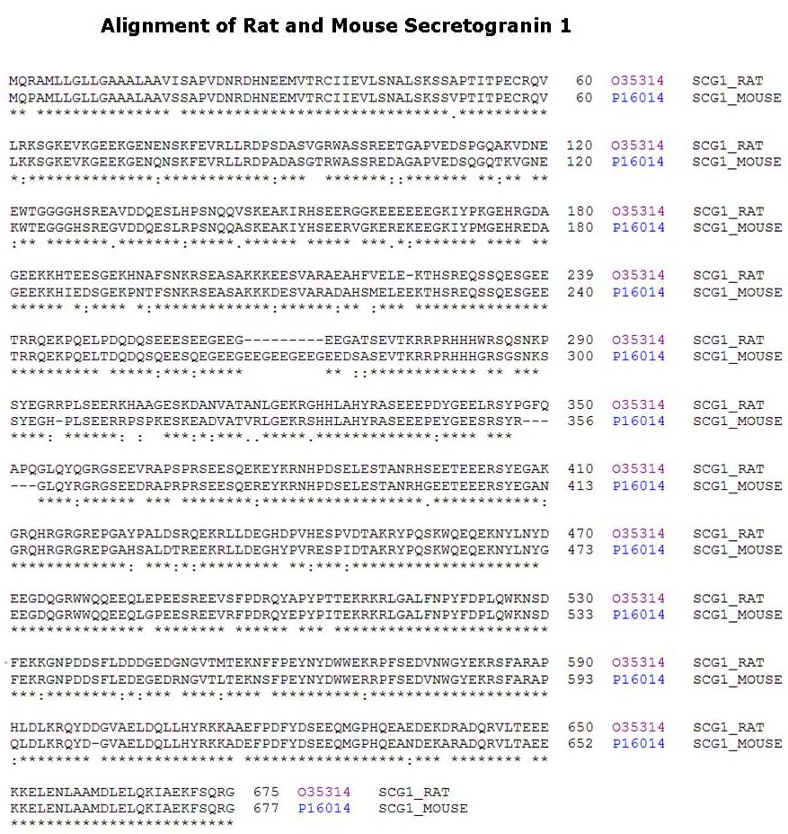 alignment of Secretogranin I rat mouse