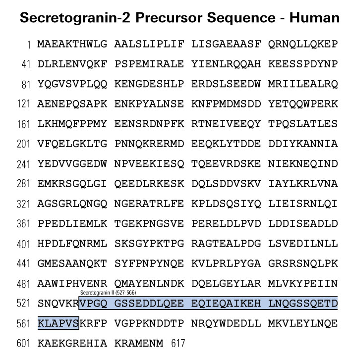 human secretogranin-2 sequence