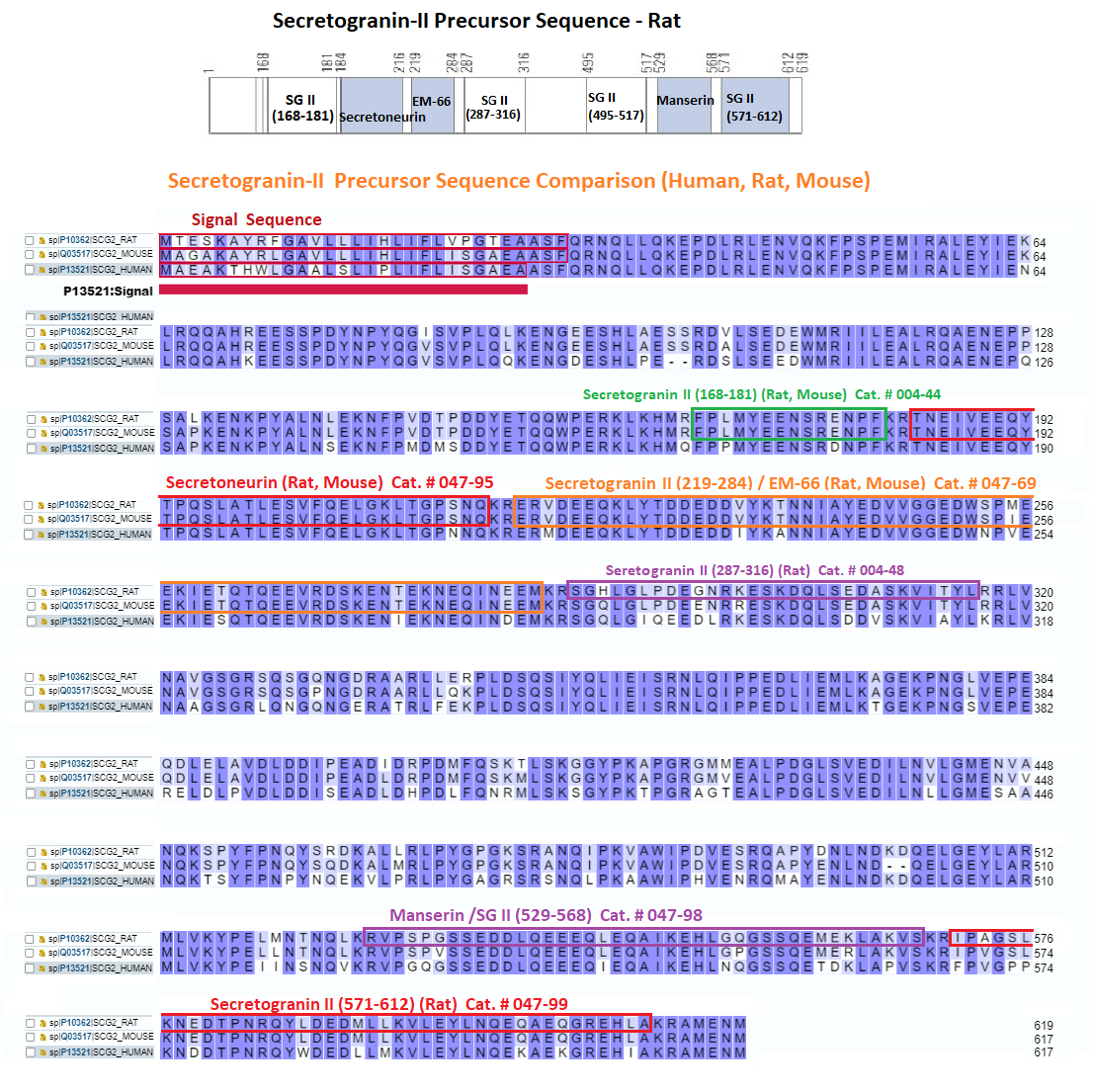 rat secretogranin-2 sequence