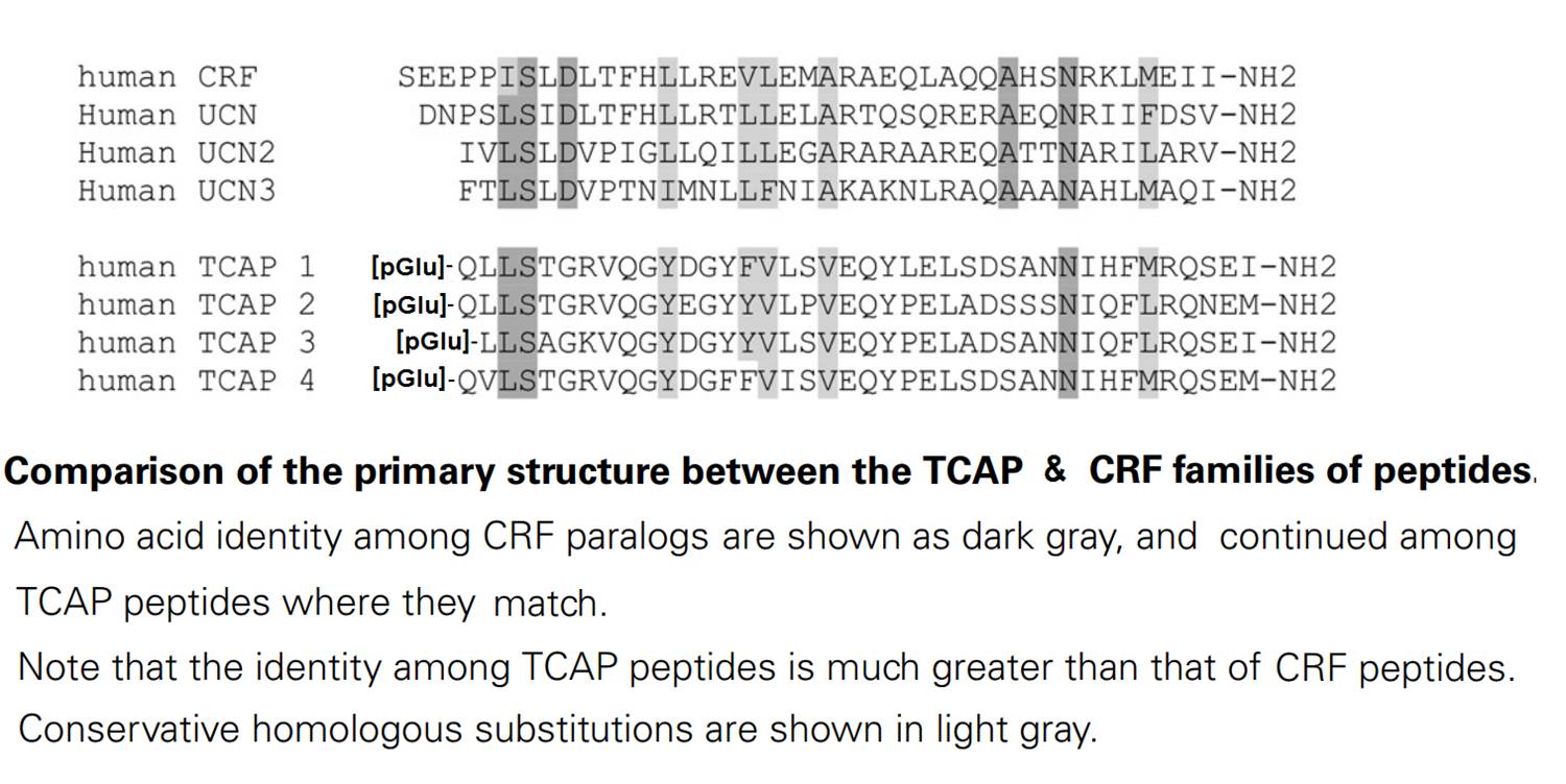 TCAP sequence comparison