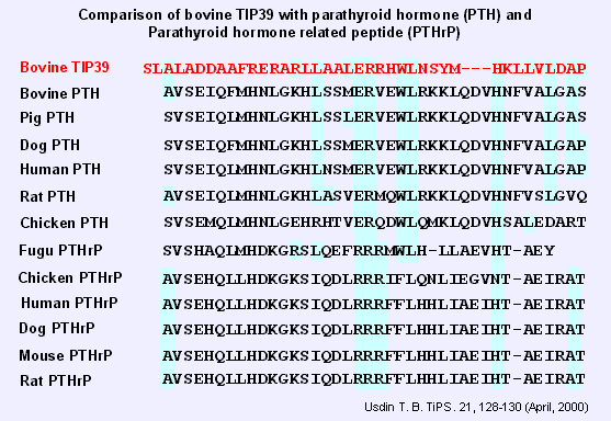 sequence comparison TIP