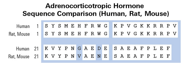 acth sequence